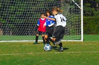 ErinJ_Fall_2011_0005