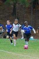 ErinJ_Fall_2011_0048