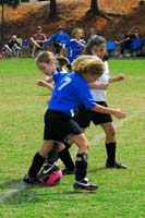 ErinJ_Fall_2011_0064