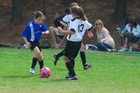 ErinJ_Fall_2011_0074